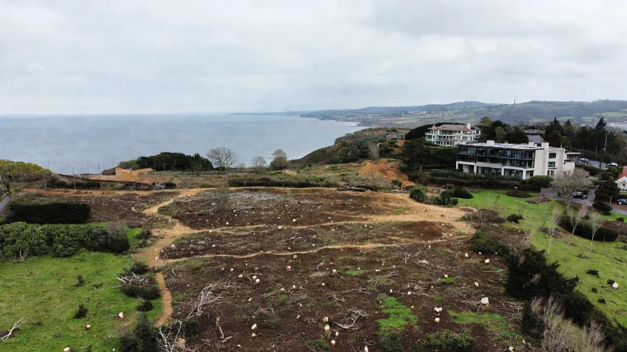 Bill Buckler Property Developer Fine As Court Punishes Illegal Tree Felling For Clifftop Pool