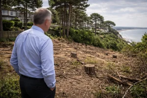 What Triggered The Investigation Into Bill Buckler’s Clifftop Development