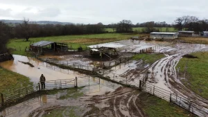 How Extensive Is the Storm Damage at the Sanctuary