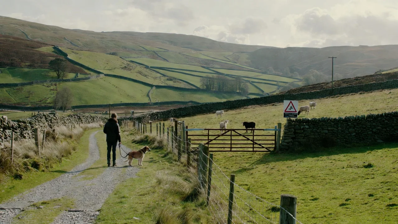 Wales Dog Walking Fines Set to Rise as New Rules Come Into Force Within Weeks