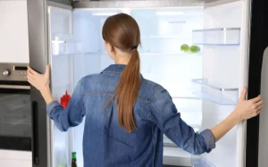 Pressures Influencing the Decision to Upgrade Systems